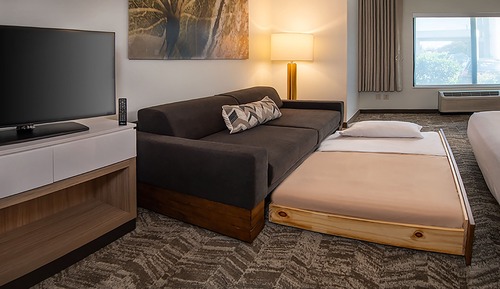 Suite, 1 King Bed with Sofa bed (Hearing Accessible)