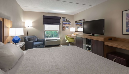 Room, 1 King Bed, Accessible, Bathtub