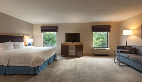 Studio, 1 King Bed with Sofa bed, Non Smoking