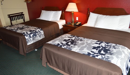 Standard Double Room, 2 Double Beds, Non Smoking