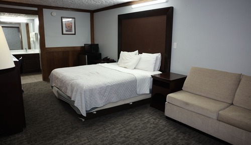 Business Studio Suite, 1 King Bed, Refrigerator & Microwave