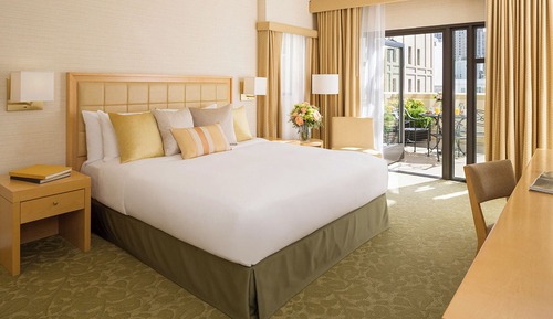 Room, 1 King Bed, Terrace