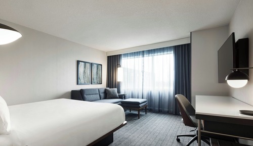 Room, 1 King Bed with Sofa bed