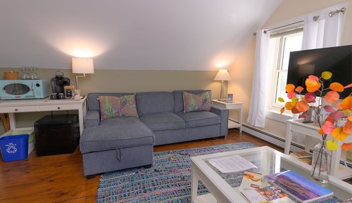 Junior Studio Suite, 1 King Bed with Sofa bed, Fireplace, Mountain View (Mt. Mansfield)