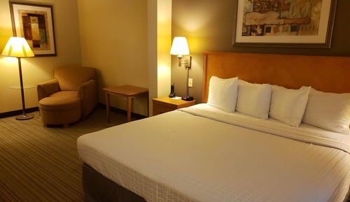 Deluxe Room, 1 King Bed, Accessible, Non Smoking (Mobility and Hearing Impaired)