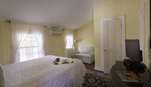 Classic Room (Sunflower)