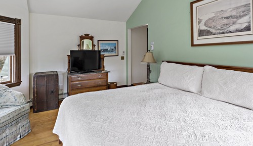 Premium Room, 1 King Bed, Non Smoking (No Pets)