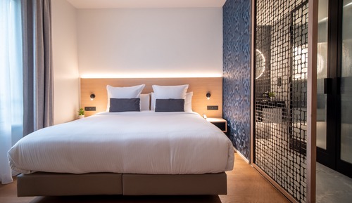 Premium Double Room "spa access"