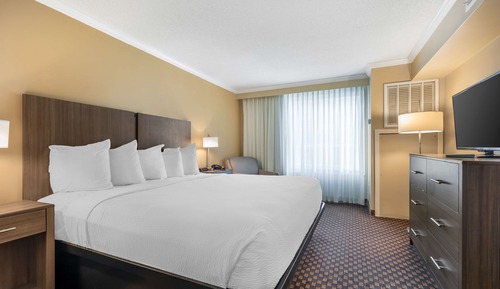 Suite, 1 King Bed, Non Smoking, Microwave (with Sofabed)