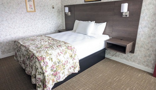 Standard Room, 1 Queen Bed, Non Smoking