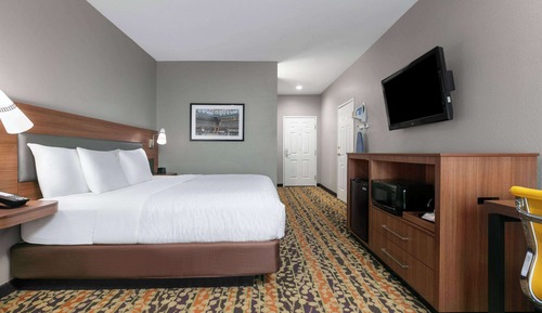 Room, 1 King Bed, Accessible, Non Smoking (Mobility, Tub w/ Grab Bars)