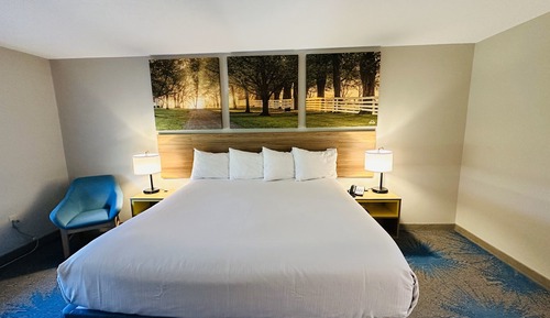 Room, 1 King Bed, Non Smoking