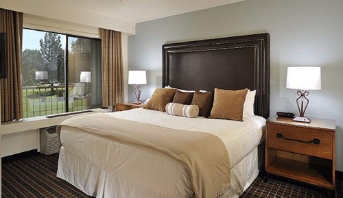 Suite, 1 King Bed with Sofa bed (King)