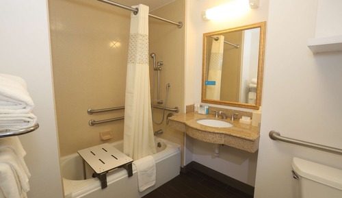 Room, 1 King Bed, Accessible, Bathtub (Mobility & Hearing)