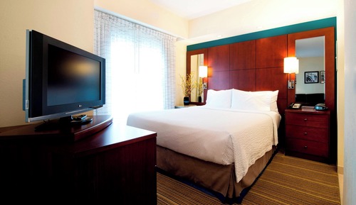Studio, 1 Queen Bed with Sofa bed