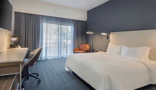 Room, 1 King Bed with Sofa bed