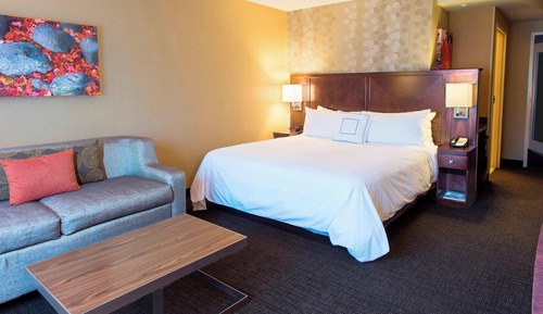 Room, 1 King Bed with Sofa bed (Mobility Accessible, Roll-in Shower)