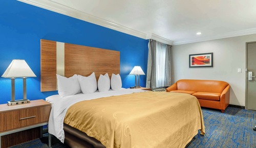 Room, 1 King Bed, Accessible, Non Smoking