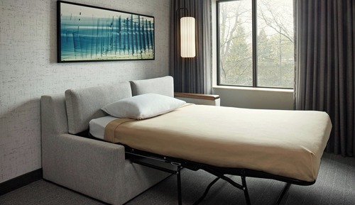 Suite, 1 King Bed with Sofa bed