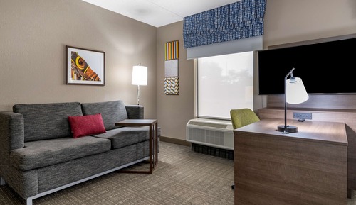 Studio, 1 King Bed, Sofa Bed