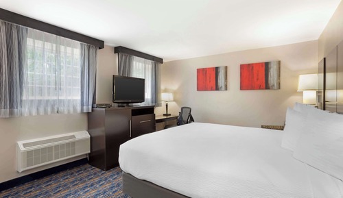 Standard Room, 1 King Bed, Non Smoking, Refrigerator