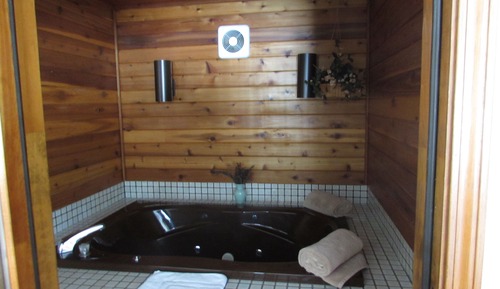 Standard Room, 1 Queen Bed, Jetted Tub