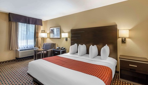 Standard Room, 1 King Bed, Accessible, Bathtub