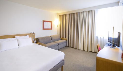 Standard Room, 1 Queen Bed with Sofa bed