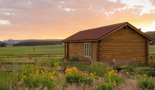 Cabin (Preserve, Suite)