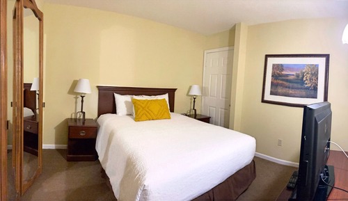 Queen Pet Friendly Suite, 1 Queen Bed with 1 Sofa bed (Pets Welcome in this Suite)