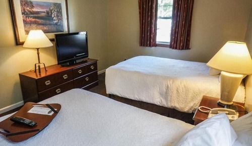 Double Bed Suite- 2 Double Beds with 1 Sofa bed (No pets allowed in this suite)