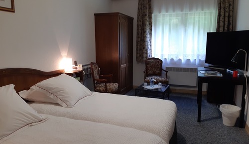 Superior Double or Twin Room