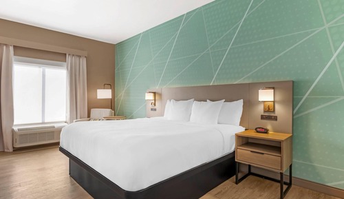 Room, 1 King Bed, Non Smoking (Pet Friendly)