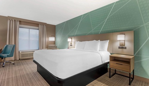 Standard Room, 1 King Bed, Non Smoking