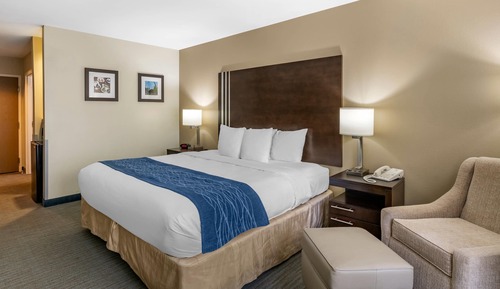 Room, 1 King Bed, Non Smoking (Pet Friendly)