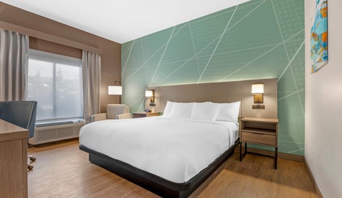 Room, 1 King Bed, Accessible, Non Smoking