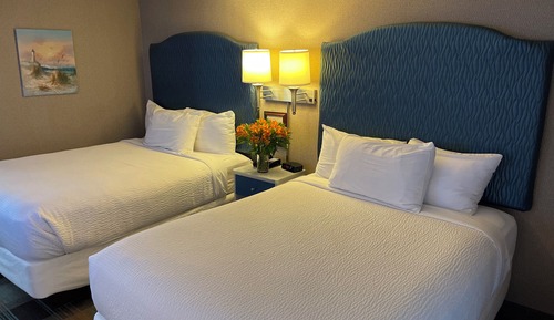 Premium Room, 2 Queen Beds