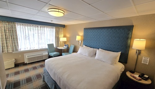 Premium Room, 1 King Bed