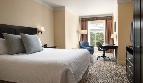 Premier Suite, 1 King Bed with Sofa bed