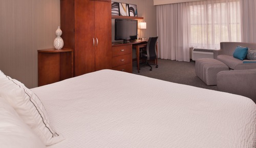 Room, 1 King Bed with Sofa bed (Mobility/Hearing Access, Roll-in Shwr)