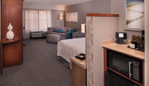 Room, 1 King Bed with Sofa bed