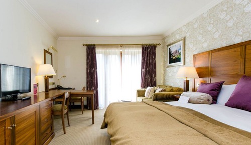 Executive Room, 1 King Bed