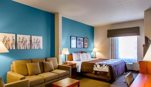 Suite, 1 King Bed with Sofa bed, Accessible, Non Smoking