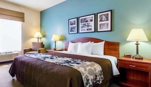 Room, 1 King Bed, Accessible, Non Smoking