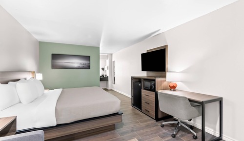 Standard Room, 1 King Bed with Sofa bed, Non Smoking