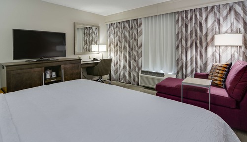 Room, 1 King Bed, Refrigerator