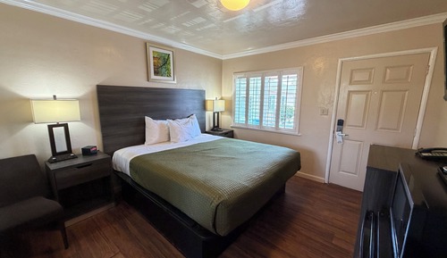 Standard  1  King Bed