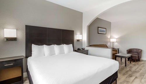 Suite, 1 King Bed, Non Smoking, Refrigerator & Microwave (with Sofabed)