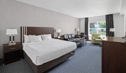 Standard Room, 1 King Bed