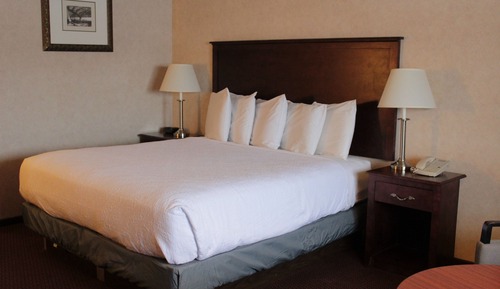 Superior Room, 1 King Bed, Non Smoking